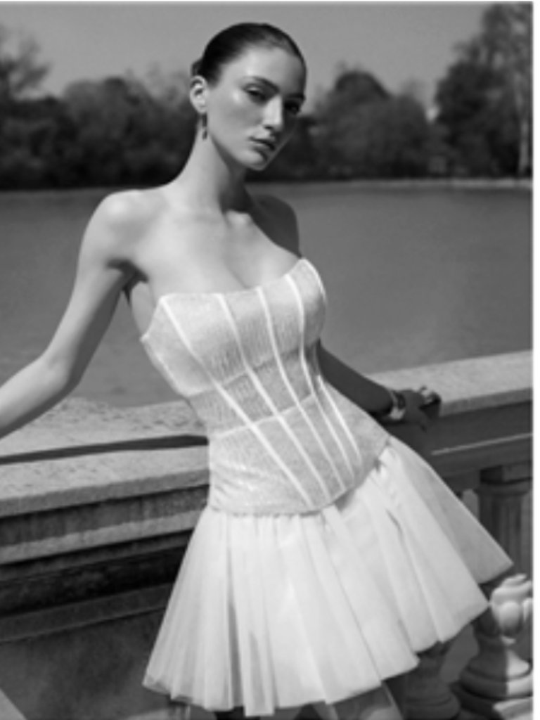 Bcbgmaxazria Sequin Lace Peplum Tulle Strapless Corset Mini Dress Nwt — image 4 of 5